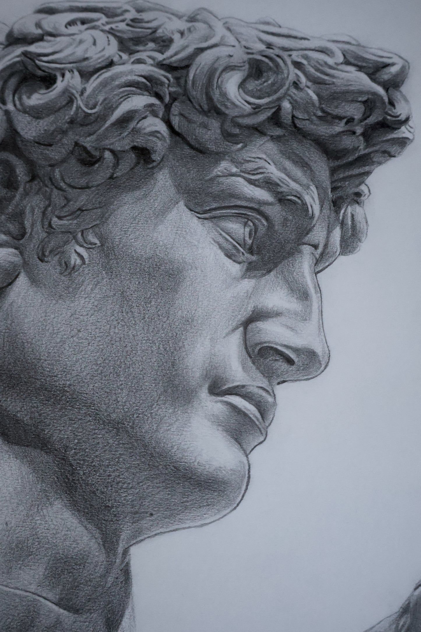 David
